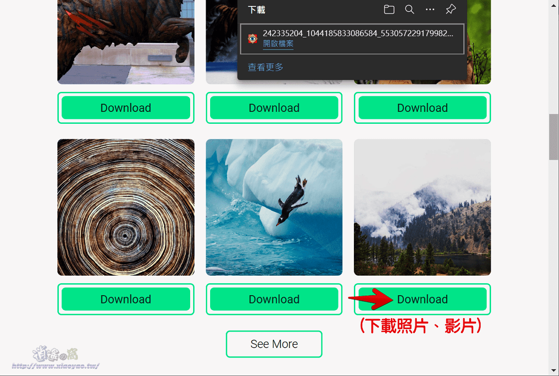 StoriesIG 匿名觀看 Instagram 限時動態,輕鬆下載照片和影片