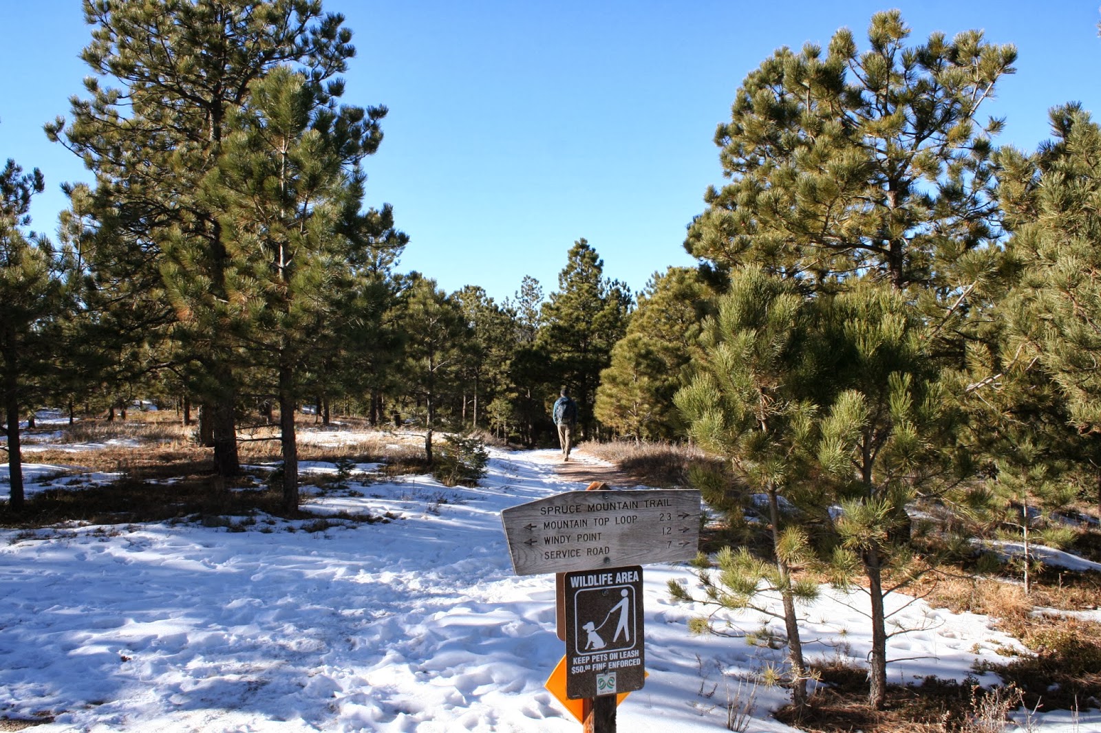 The Hiker Spruce Mountain Hike