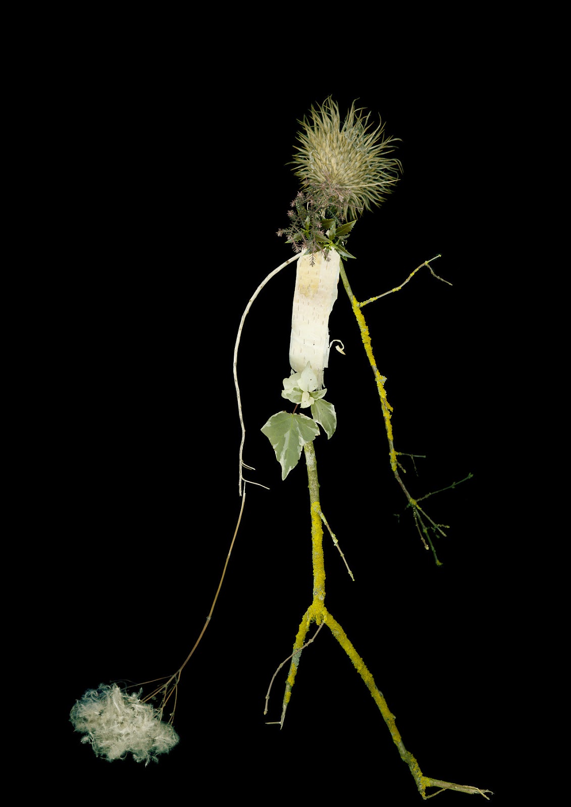 Catlin+Harrison+Tutt'Art@+(19) Catlin+Harrison+Tutt'Art@+(19)