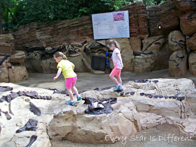 Animal Kingdom Dinoland Boneyard