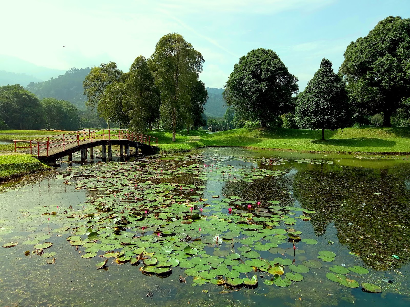 Penang Food For Thought Taiping Lake Garden
