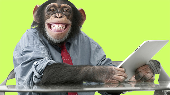 Chimpanzé Inteligente