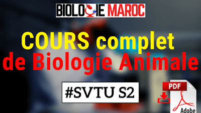 Cours de Biologie Animale SVT Semestre S2 PDF