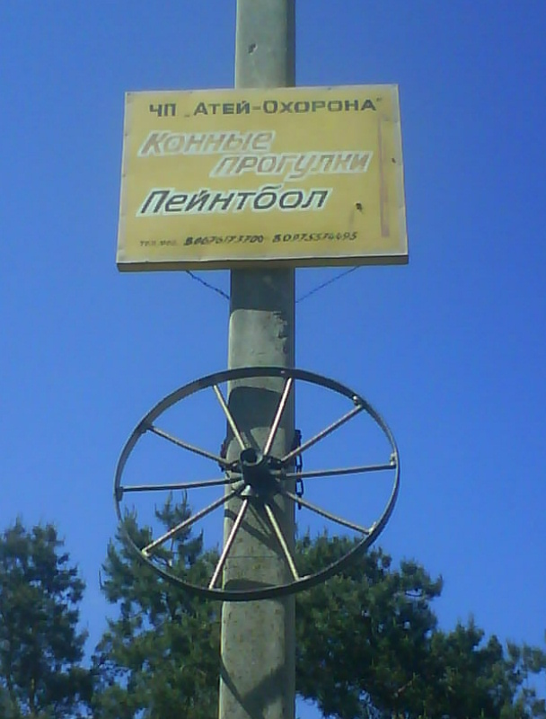 г.Каменка-Днепровская: Кони,лес..Вобщем природа нашего города!