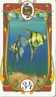 Marie's Tarot: Carta n°34 - Os Peixes