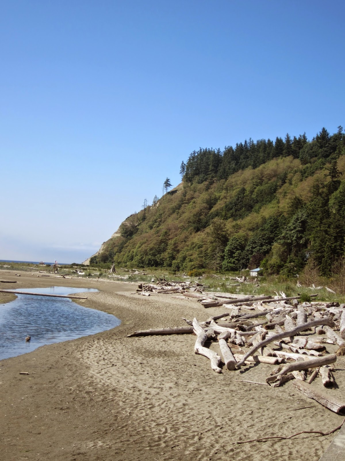 Beware of the Rug Double Bluff, Whidbey Island
