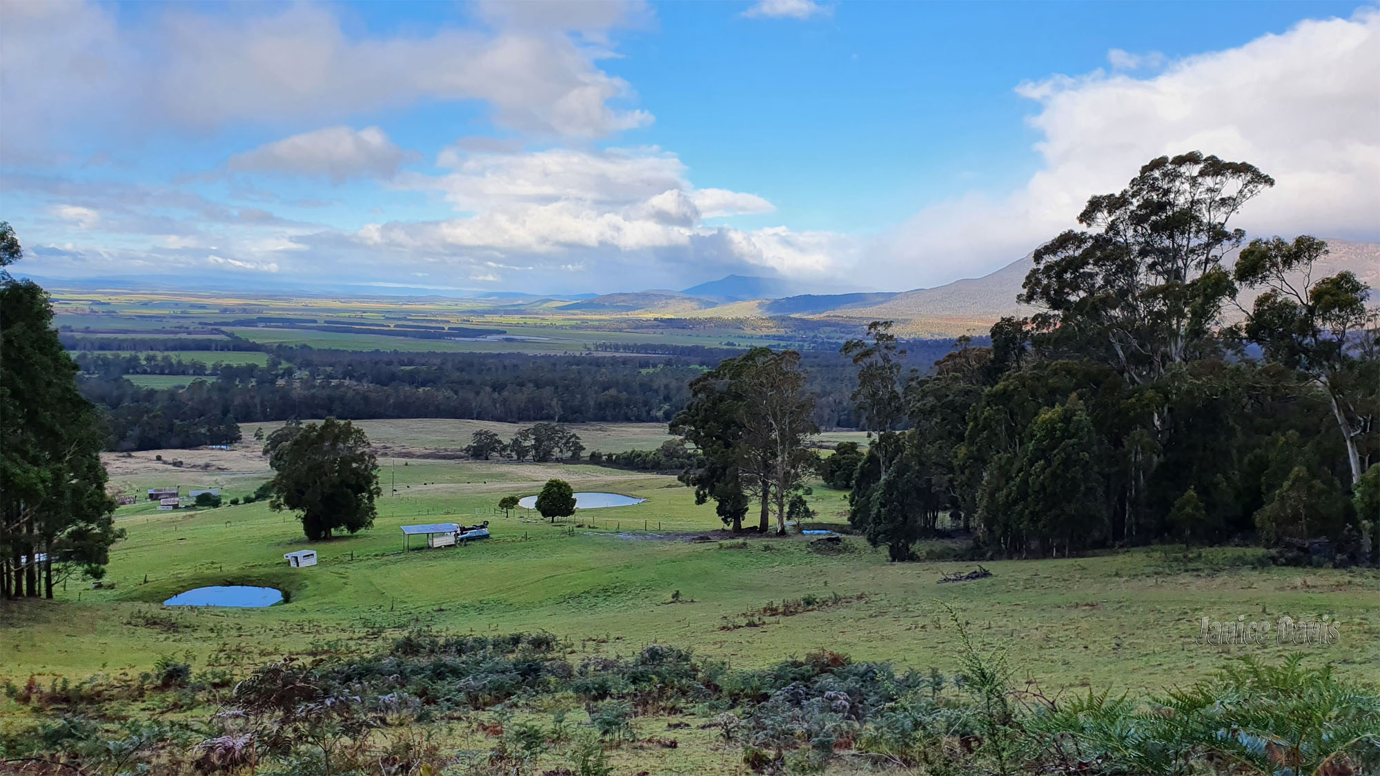 thoughts & happenings Blackwood Creek, Tasmania
