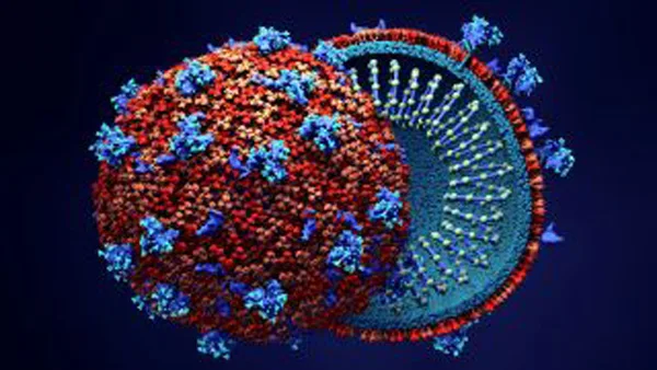 Coronavirus