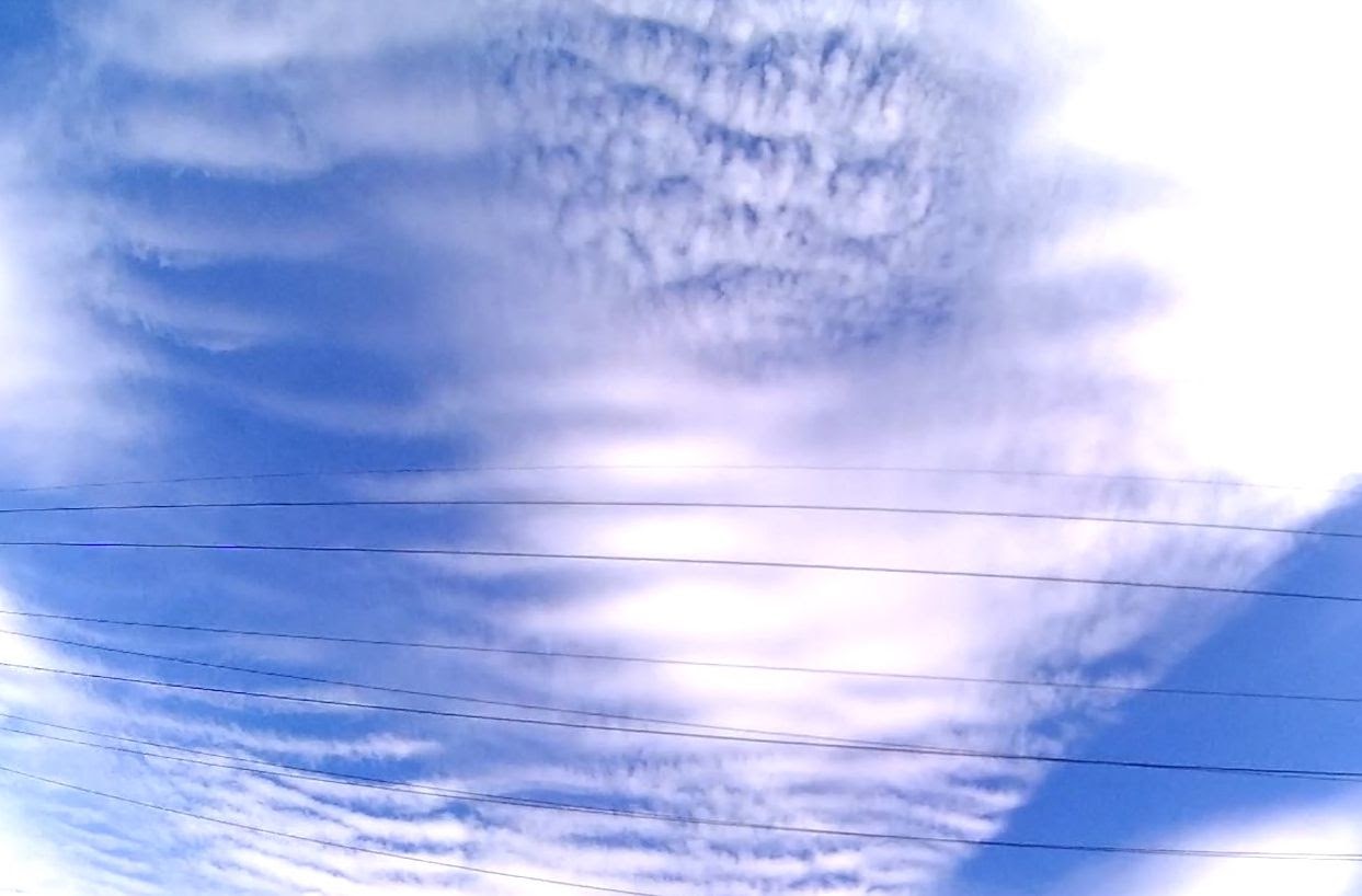 Ms1 cloud. Кучевые облака 1 сентября. Первый канал облака. Изменения облаками 1.1. Какие облака были 1 сентября.