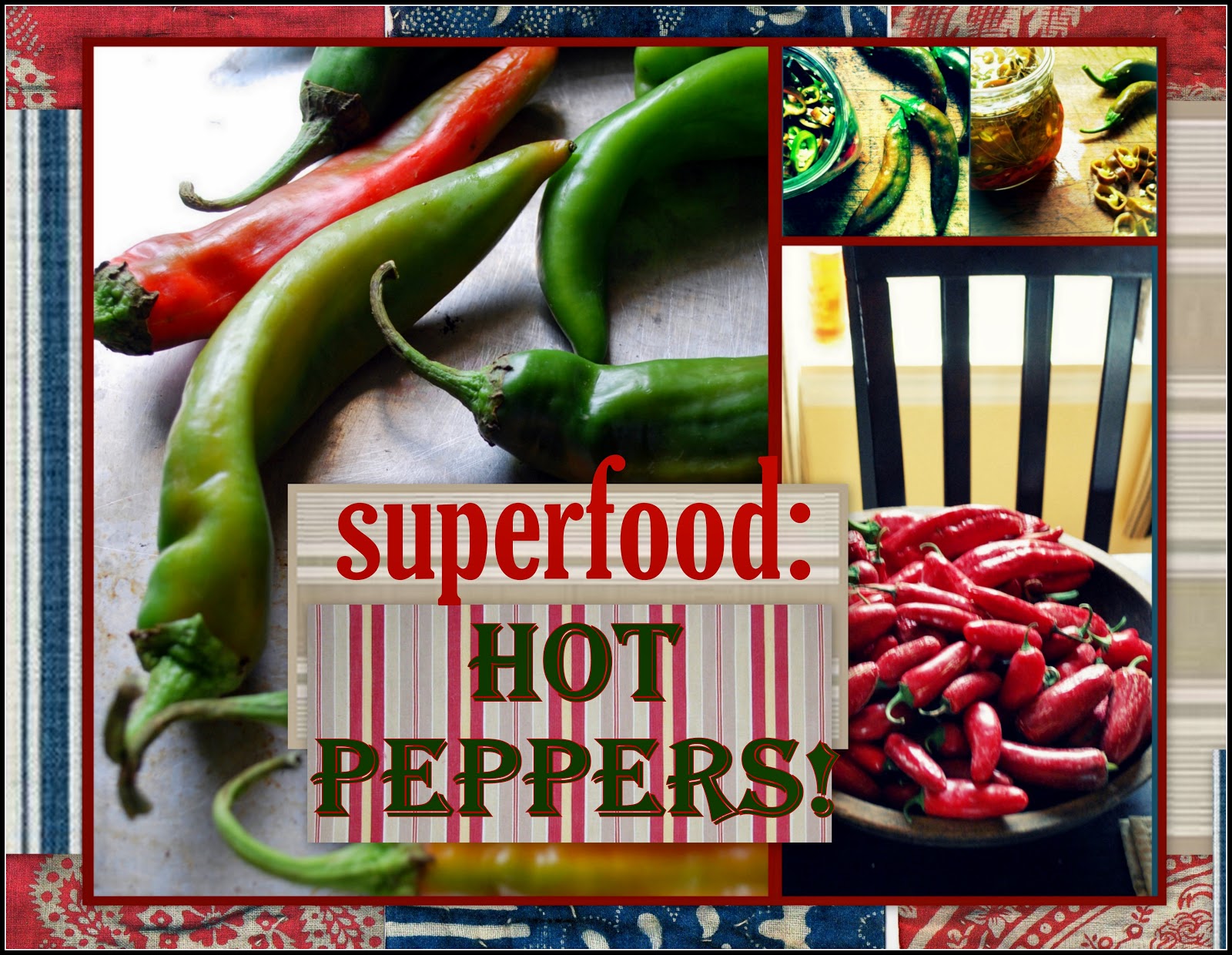 Notes from Maggie's Farm Tips for Tuesday Superfood Hot Peppers!