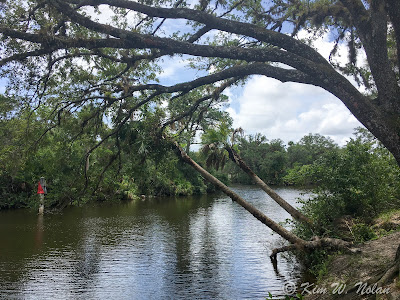 Saint Lucie River