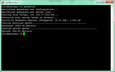 Script Auto Install SSH dan OpenVPN untuk VPS Ubuntu 20 64 bit