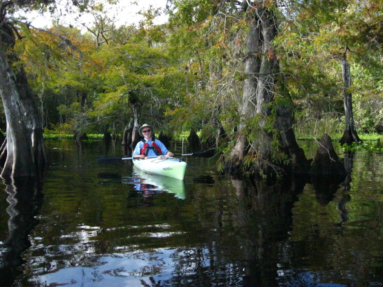 Central Florida Kayak Tours Kayaking Blackwater Creek 10712