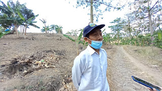 Gundul dan Gersang, Gunung Patiayam Butuh segera Dihijaukan 1 IMG 20210809 WA0333