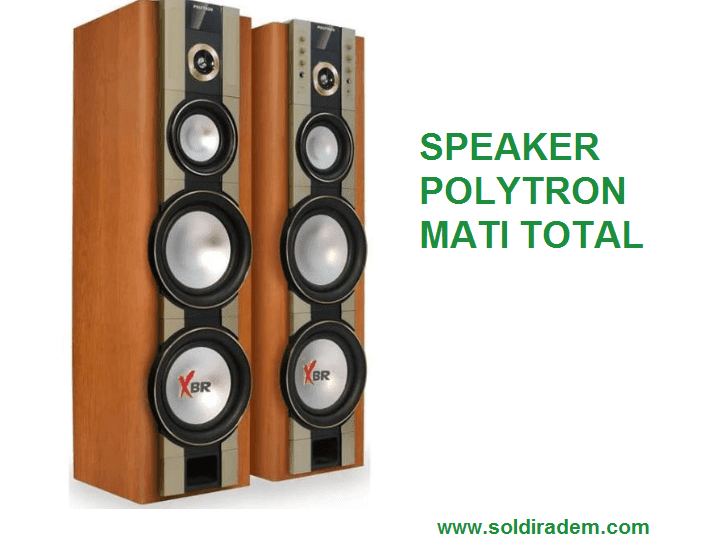 Memperbaiki Speaker Aktif Polytron Mati Total Soldiradem Blog