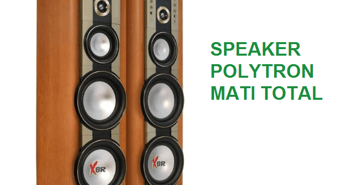 Memperbaiki Speaker Aktif Polytron Mati Total Soldiradem Blog