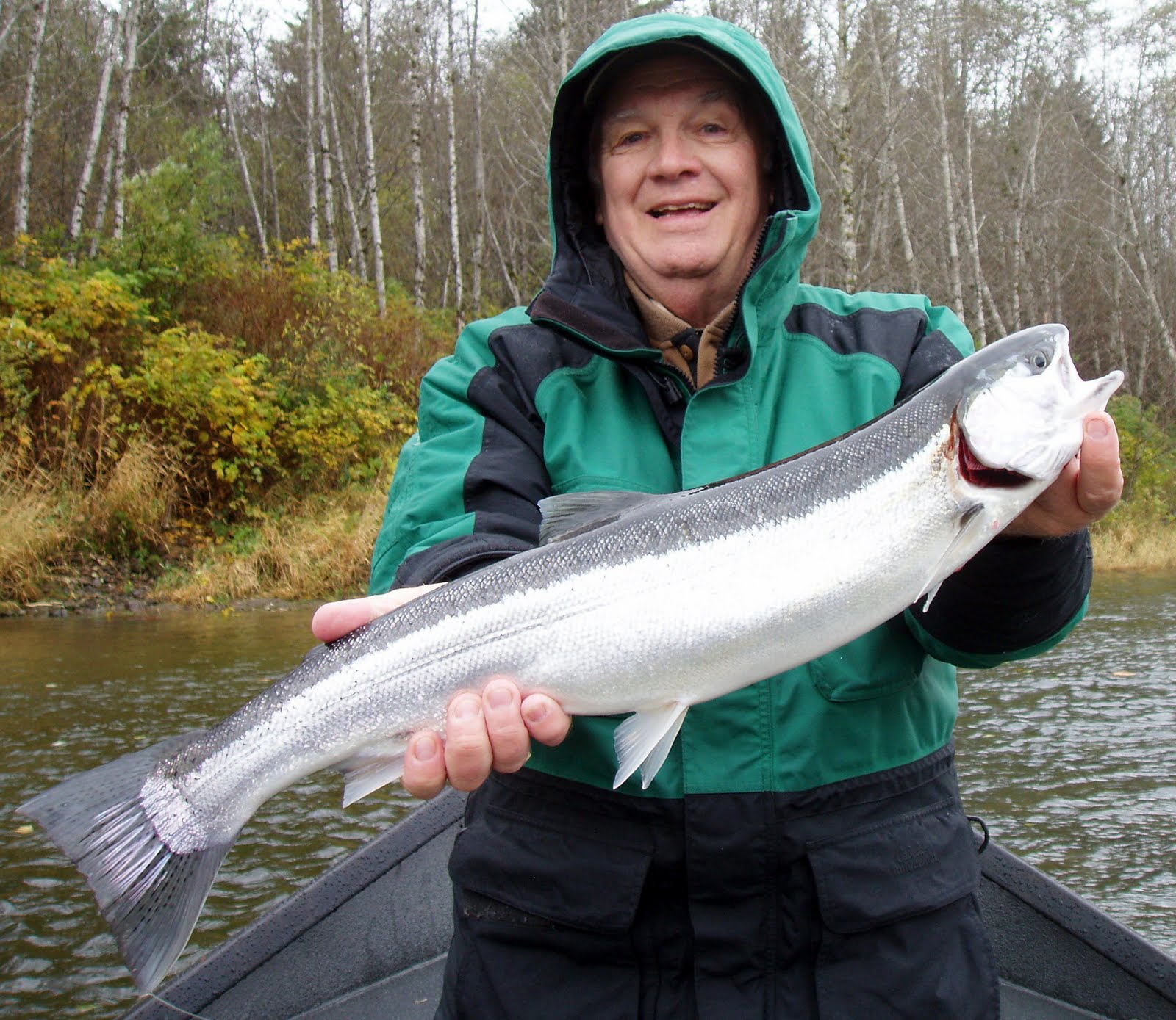 northwest-salmon-and-steelhead-fishing-forks-winter-steelhead-and-silvers