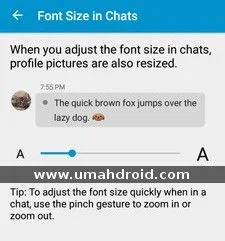 Download BBM Clone Terbaru Bisa Font Resize dan Zoom