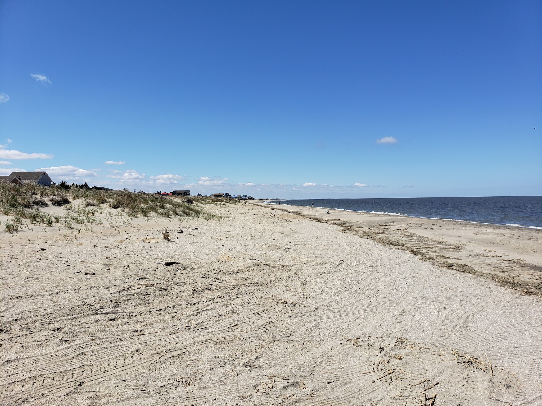Broadkill Beach Using Dunes to Save This Stretch of the Delaware Bay