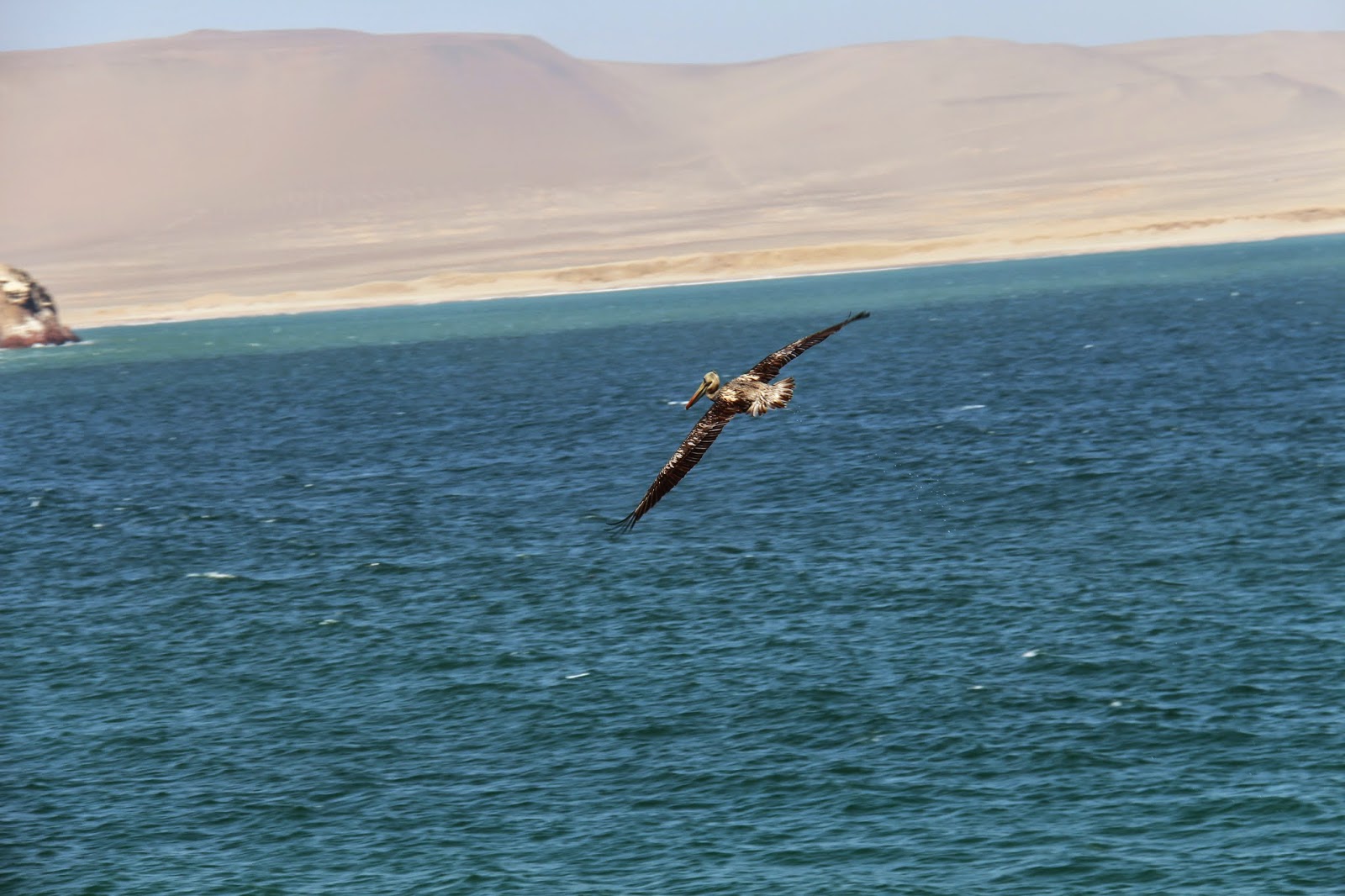 Blog Apaixonados por Viagens - Paracas e Islas Ballestas