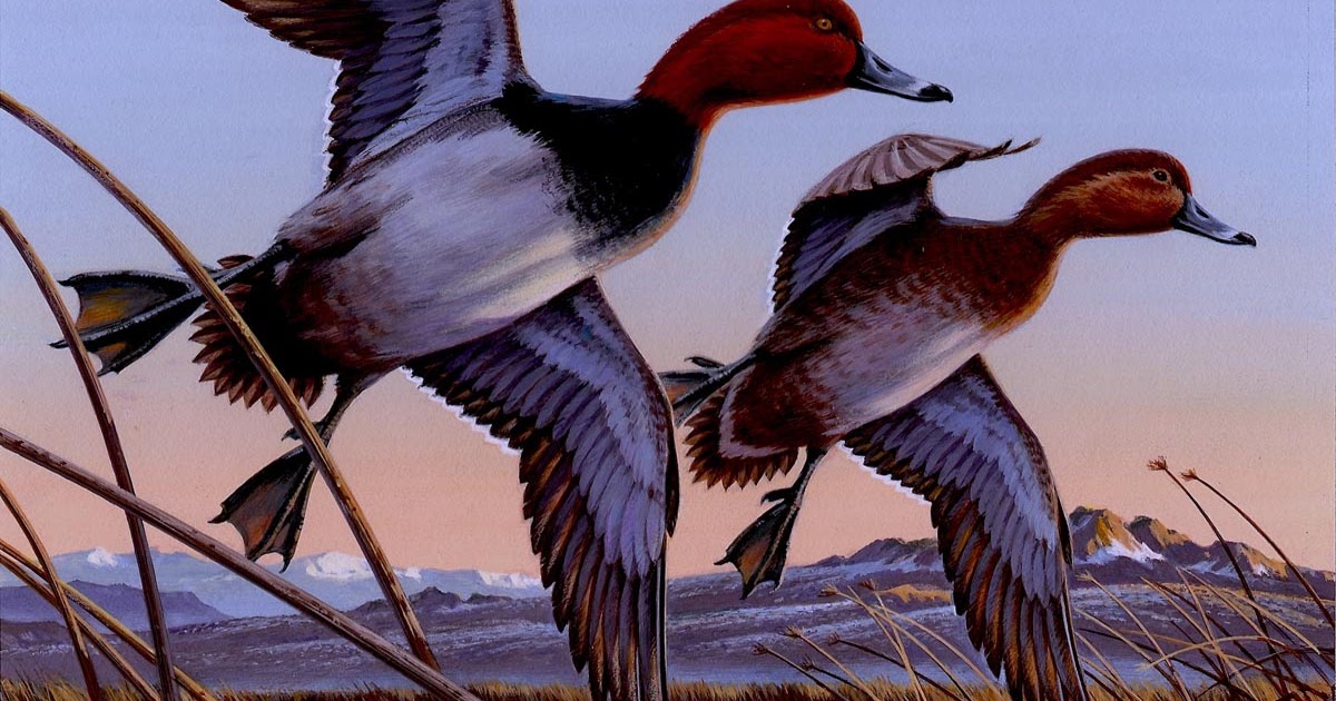 Ocean County Tuckerton 36th Annual Ocean County Decoy and Gunning Show