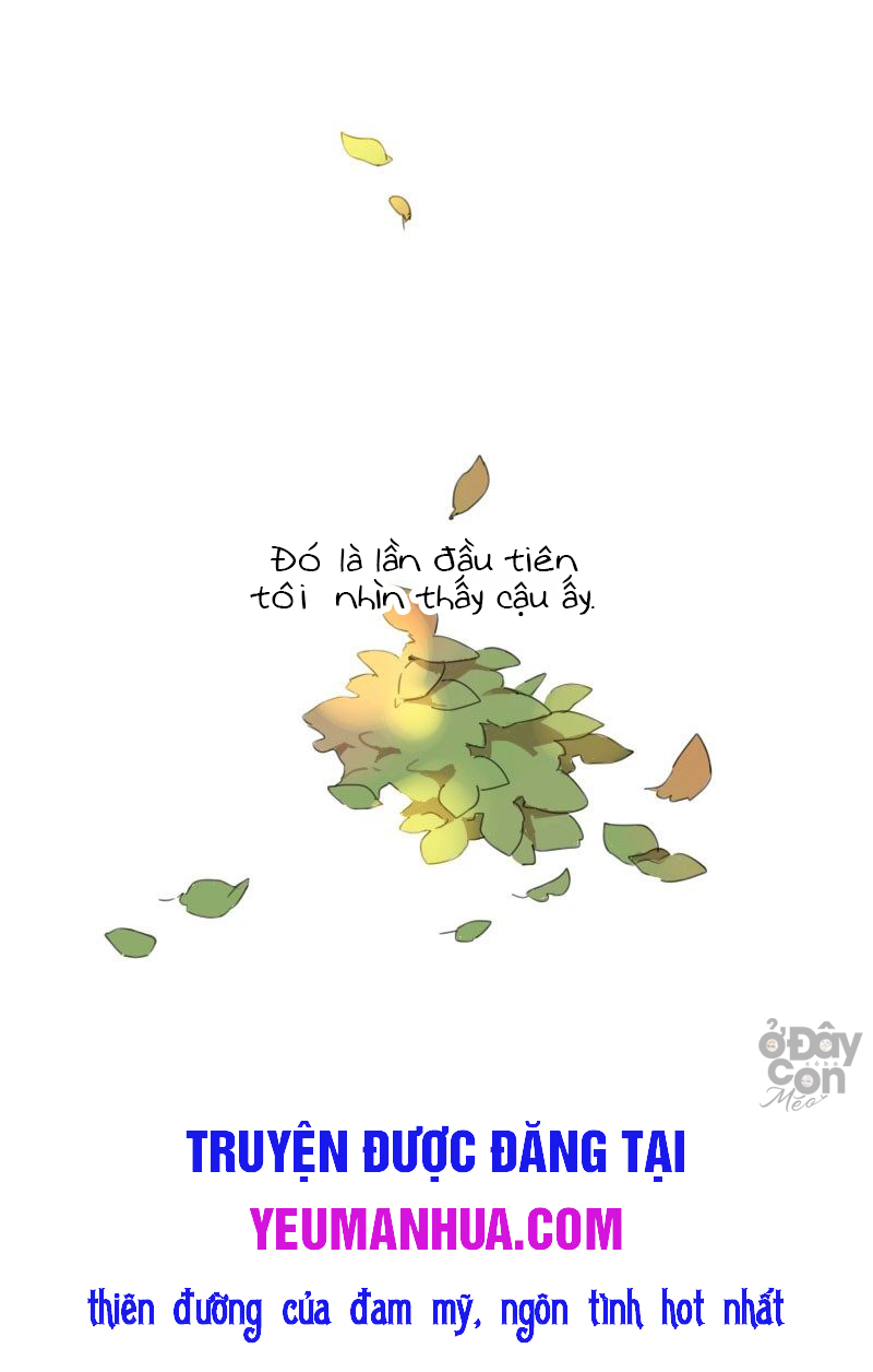 Sắc Thái Trầm Lặng Chapter 1 - Trang 33