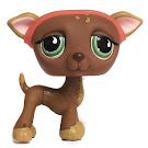 Littlest Pet Shop Multi Pack Greyhound (#507) Pet