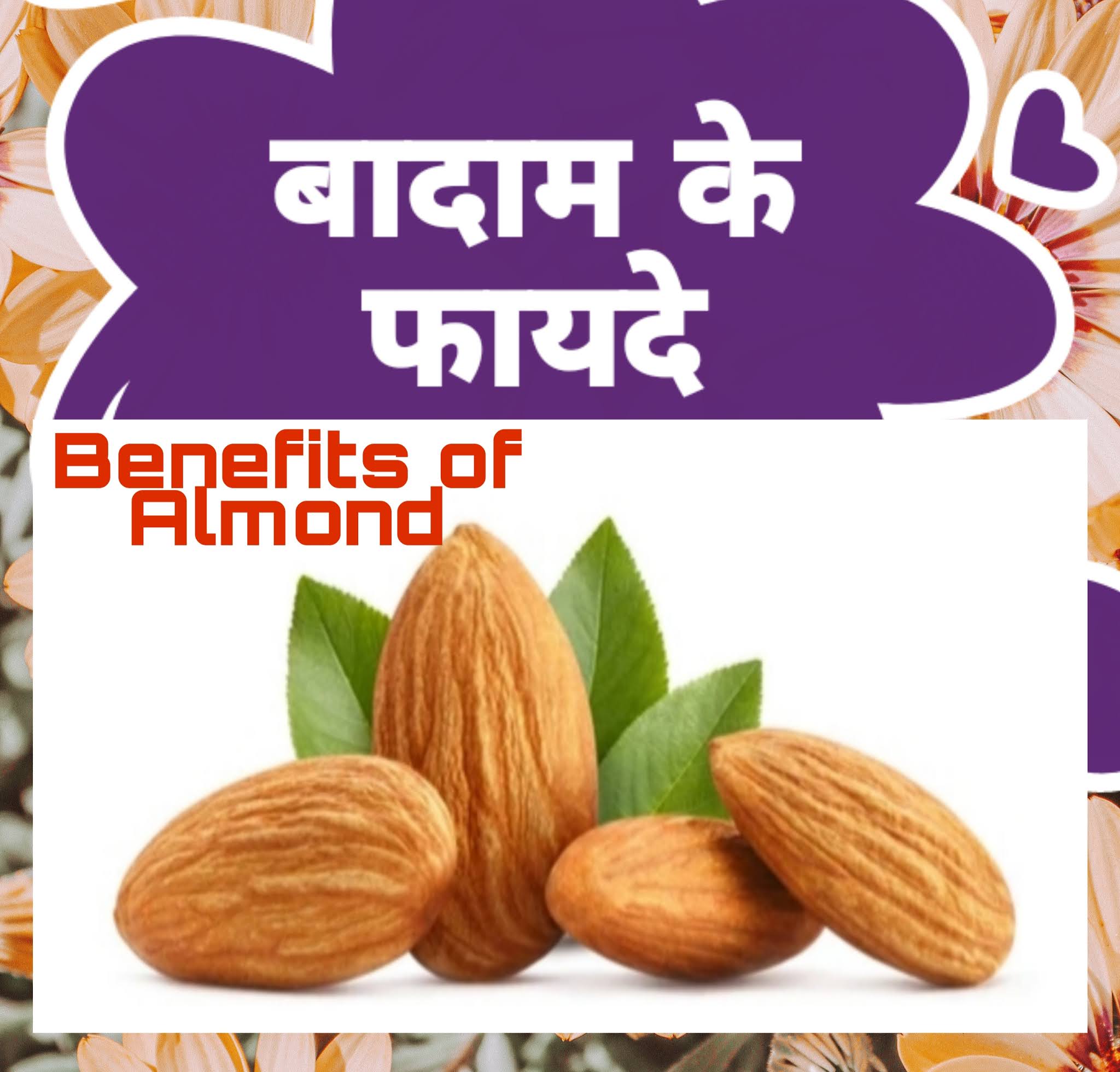 बादाम के चमत्कारी फायदे इन हिन्दी Benefits of Almond in Hindi