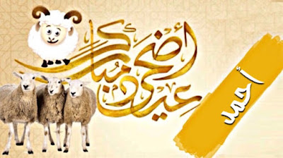 صور عيد الاضحى بالاسم لتهنئة اسمك على صور و بطاقة تهنئة بعيد الاضحى صور و بطاقات عيد الاضحى بإسمك أو اسم شخص عزيز عليك اجمل بطاقات تهنئة العيد الاضحى Aid El Kebir/Aid Al Adha باسمك ، اجمل صور العيد الاضحى باسمك ، بطاقات معايده باسمك تنزيل خلفيات العيد الاضحى بإسمك ، صور عيد الاضحى مكتوب عليها اسمك أو اسم شخص عزيز عليك ، تهاني عيد الاضحى المبارك بإسمك ، Photos Eid ul adha by name to congratulate ، صور عيد الاضحى بالاسم لتهنئة بطاقة تهنئة بعيد الاضحى تحمل اسمك أو اسم شخص عزيز عليك بارك لأصدقائك بالعيد من خلال بطاقة معايدة بِأَسْمَائِهِمْ صور عيد الاضحى بالاسم لتهنئة اسمك على صور و بطاقة تهنئة بعيد الاضحى صور و بطاقات عيد الاضحى بإسمك أو اسم شخص عزيز عليك اجمل بطاقات تهنئة العيد الاضحى Aid El Kebir/Aid Al Adha باسمك ، اجمل صور العيد الاضحى باسمك ، بطاقات معايده باسمك تنزيل خلفيات العيد الاضحى بإسمك ، صور عيد الاضحى مكتوب عليها اسمك أو اسم شخص عزيز عليك ، تهاني عيد الاضحى المبارك بإسمك ، Photos Eid ul adha by name to congratulate ، صور عيد الاضحى بالاسم لتهنئة بطاقة تهنئة بعيد الاضحى تحمل اسمك أو اسم شخص عزيز عليك بارك لأصدقائك بالعيد من خلال بطاقة معايدة بِأَسْمَائِهِمْ