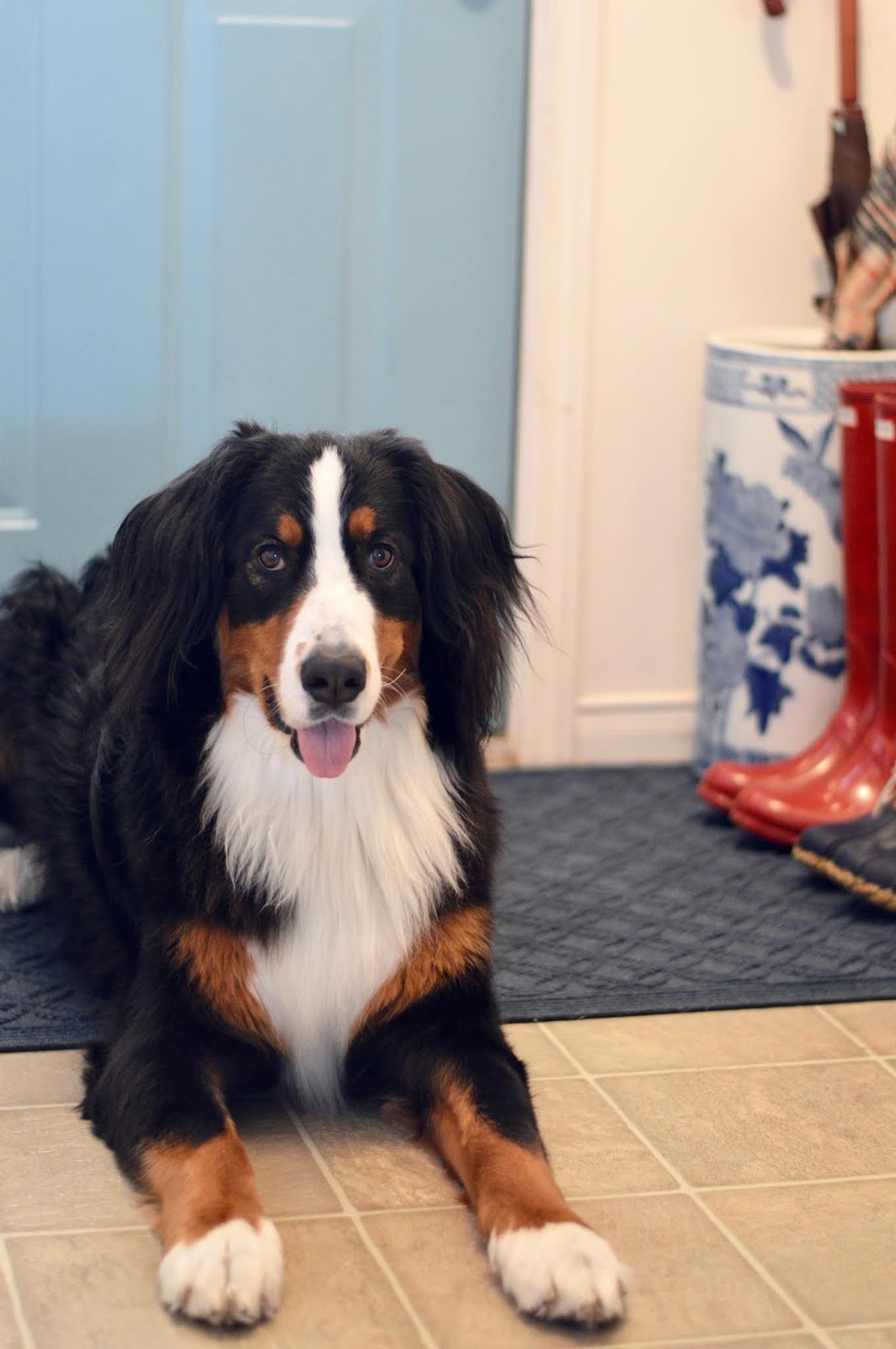 L L Bean S Waterhog Rug One Year Later Review