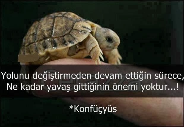 byece: Konfüçyüs'un da dediği gibi ne kadar yavaş gittiğinin bir önemi yok!