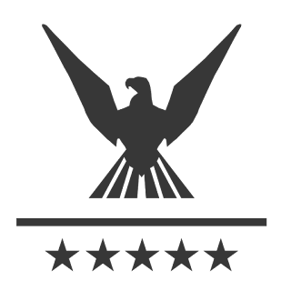 Graphixhome star eagle shape logo graphics designer online