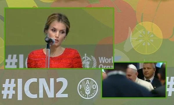 Queen Letizia of Spain attends FAO headquarter for the Second International Conference on Nutrition