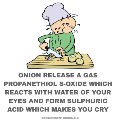 Onion crying facts