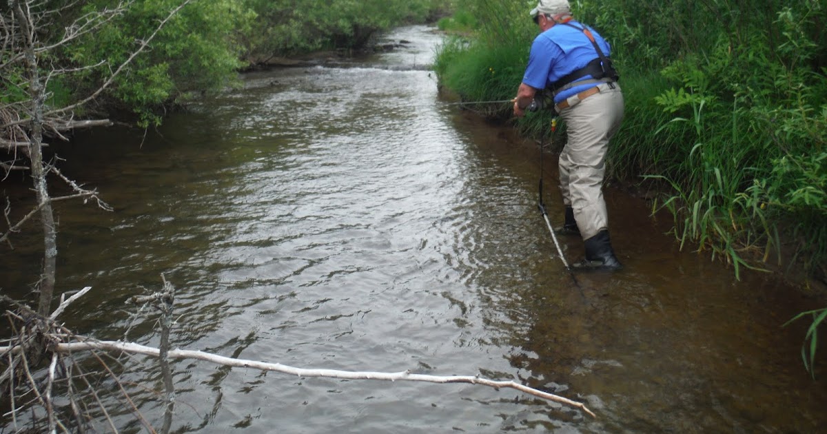 Mikey D Fishing Potter County Fishing Report First Fork of the