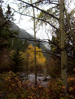 Colorado Fall Foliage Drives