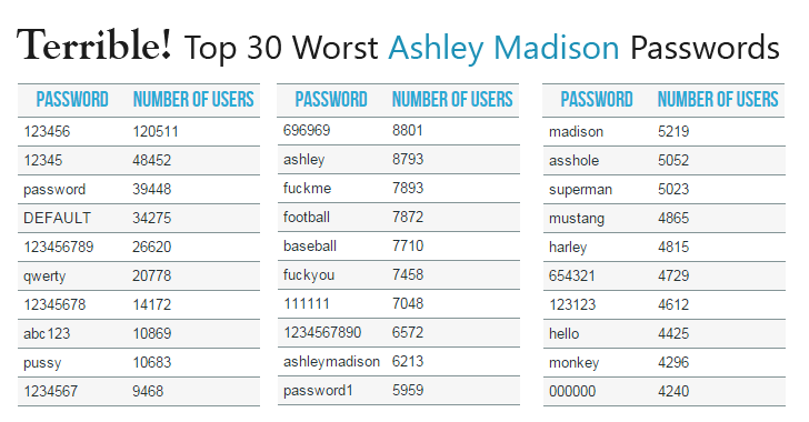 What is ashleymadison com all about What is ashleymadison com all about