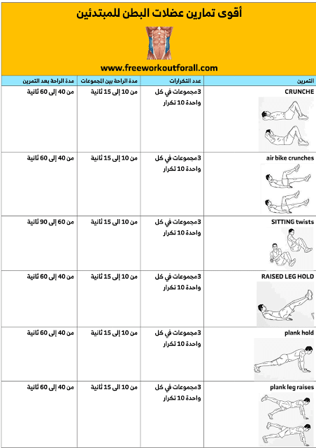 تمارين عضلات البطن للمبتدئين