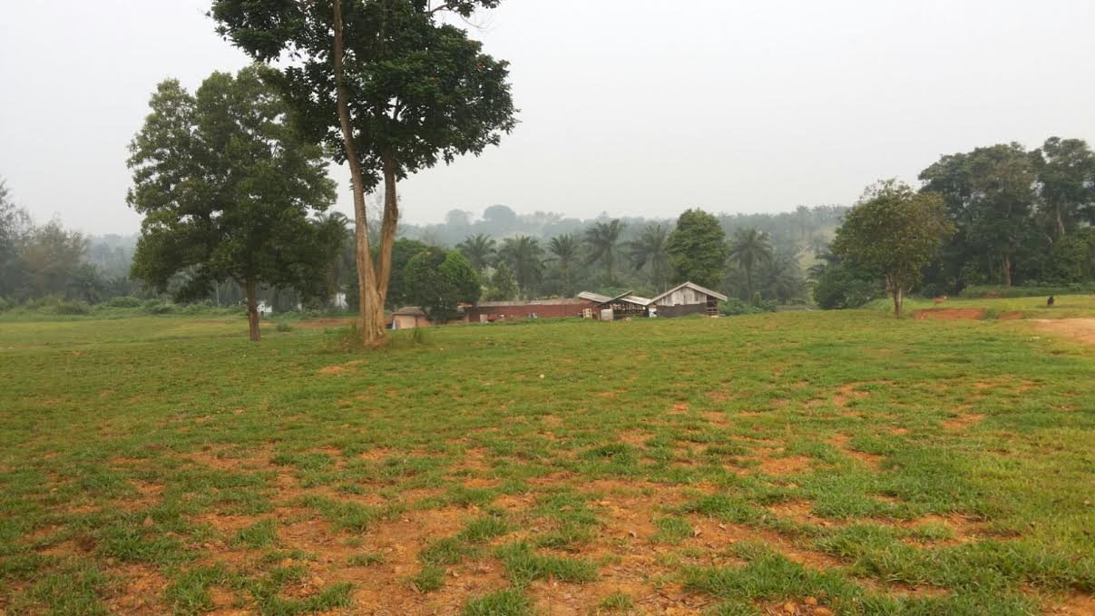 Agricultural Land in Raebareli Road Lucknow