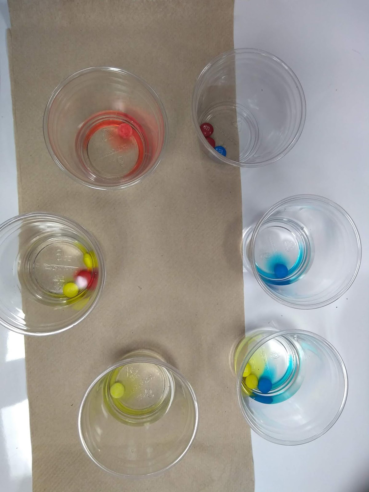 FI With Kids: Easy Color Theory Science Experiment