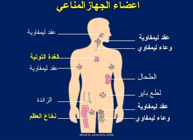 علاج نقص المناعة عند الأطفال