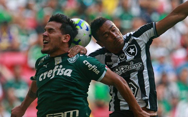 STJD suspende resultado de partida entre Botafogo e Palmeiras no Brasileirão