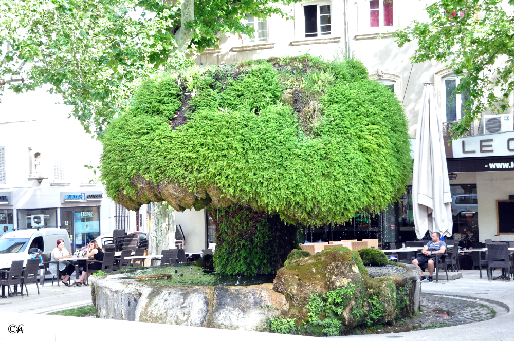région Provence Alpes Côte d'Azur: Salon de Provence fontaine moussue