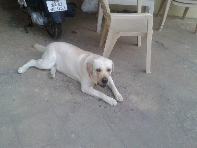 Psychology Of A Saint