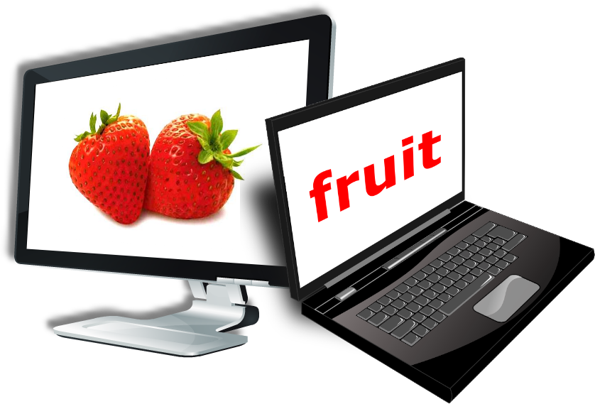 Download Free eFlash Cards For Babies Glenn Doman and Shichida