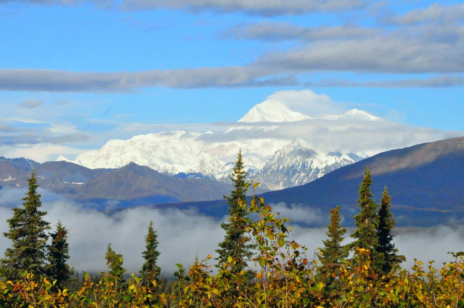 Purchasing Real Estate in Alaska by Robert Swetz