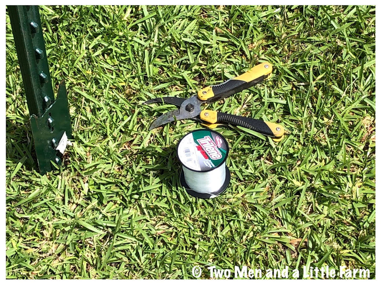 Two Men and a Little Farm DEER FENCE AROUND ORCHARD