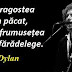 Maxima zilei: 24 mai - Bob Dylan