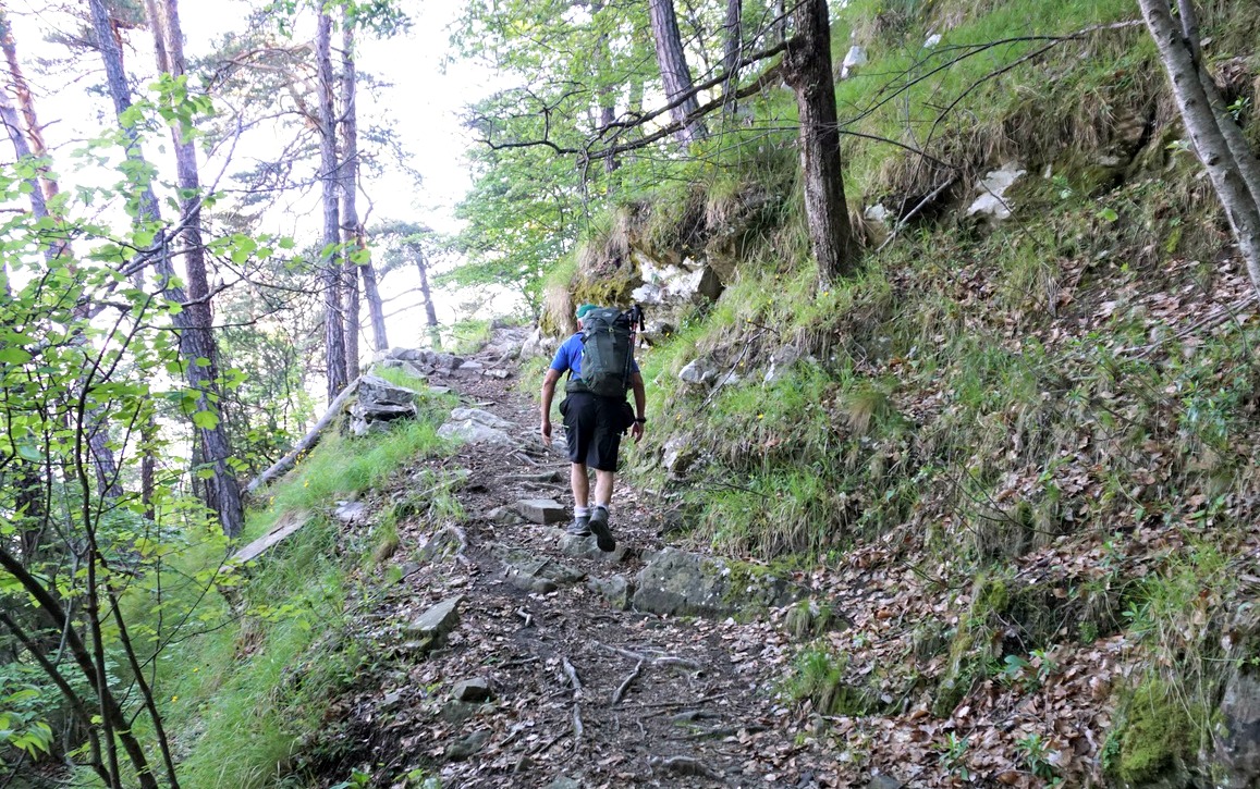 Trail in the Lucéram forest