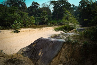 Beautiful Satchari national park tour guide 2021 9 Satchari National Park 2021
